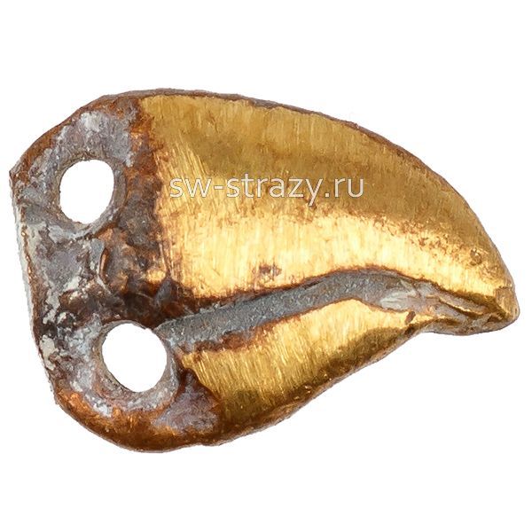 Клюв маленькой хищной птички (1-010)