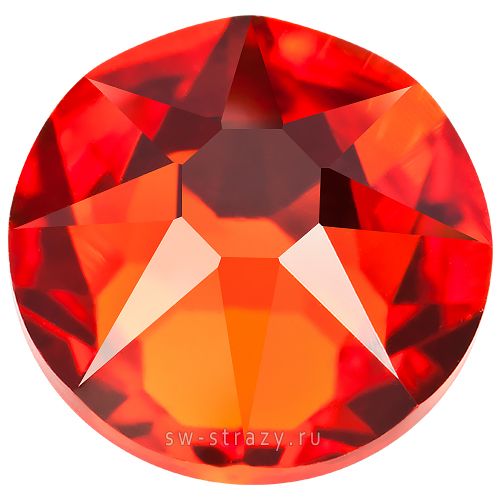 2088 ss 34 Hyacinth F